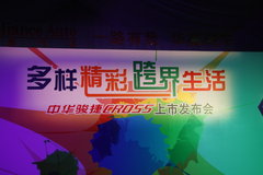 2009款 1.6L 自动 豪华型
