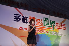 2009款 1.6L 自动 豪华型