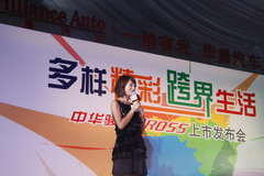 2009款 1.6L 自动 豪华型