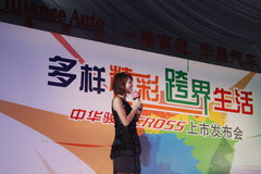 2009款 1.6L 自动 豪华型