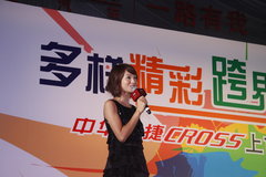 2009款 1.6L 自动 豪华型