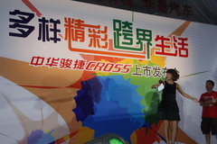 2009款 1.6L 自动 豪华型