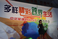2009款 1.6L 自动 豪华型