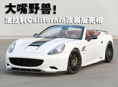 2009款 California 4.3L 