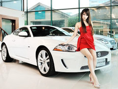 2009款 5.0 自动 V8机械增压硬顶跑车