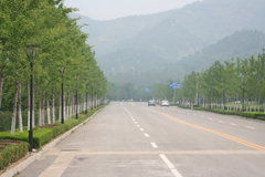 2009款 2.0L 自动 TOP