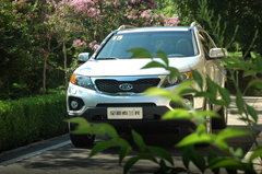 2008款 2.5T 自动 柴油精英版 5座