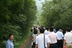 2010款 1.6 自动 尊雅型