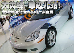2010款  2SS
