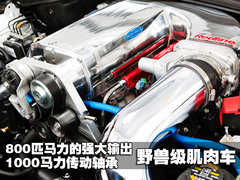 2010款  2SS