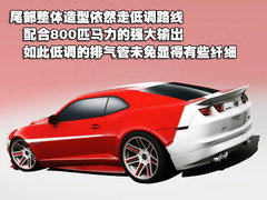 2010款  2SS