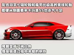 2010款  2SS