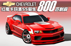 2010款  2SS