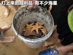 2009款 2.5T 手动 柴油4X2豪华型