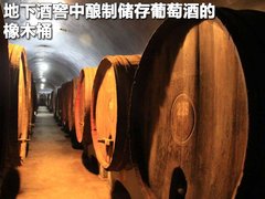 2009款 2.5T 手动 柴油4X2豪华型