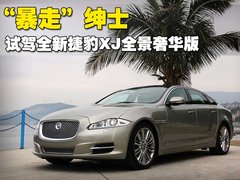 2010款 5.0 自动 全景奢华版