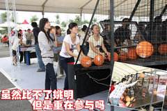 2009款 劲取 1.6L 自动 雅致版