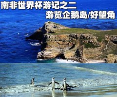 2009款 3.8L 自动 豪华版