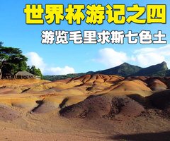 2009款 3.8L 自动 豪华版