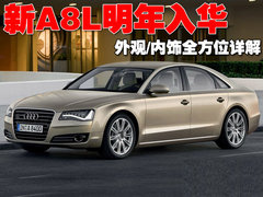 2010款 3.0FSI 标准型