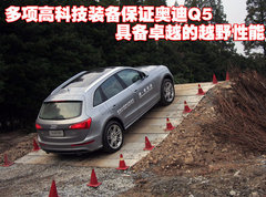 2010款 3.0FSI 标准型