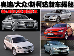 2010款 3.0FSI 标准型
