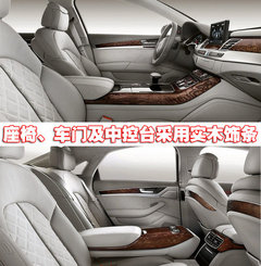 2010款 3.0FSI 标准型
