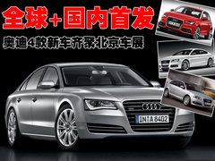 2010款 3.0FSI 标准型