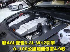 2010款 3.0FSI 标准型