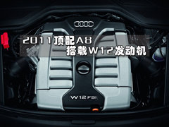 2010款 3.0FSI 标准型