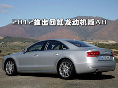 2010款 3.0FSI 标准型