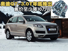 奥迪(进口) Q7 2010款