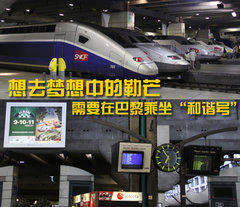 2010款 三廂 2.0L 自動 舒適版
