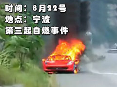 2012款 4.5L DCT 中国限量版