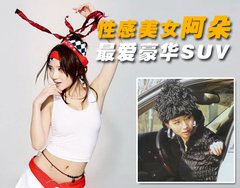 2010款 3.0 自动 旗舰版