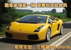 2009款 3.0T 柴油豪华型