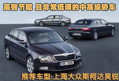 2009款 3.0T 柴油豪华型