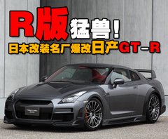 2009款 3.8T DCT PremiumEdition