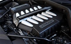 2010款 6.6T 自动 标准版