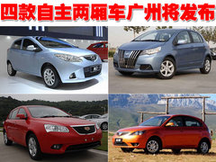 2009款 两厢 1.5 自动 尊贵型