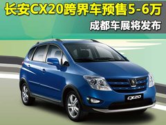 2009款 两厢 1.5 自动 尊贵型