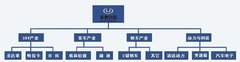 2009款 2.0T 自动 柴油四驱标准型