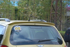 2010款 1.3L 自动 豪华型 5座