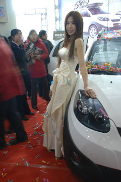 2010款 1.3L 自动 豪华型 5座