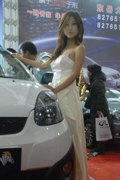 2010款 1.3L 自动 豪华型 5座