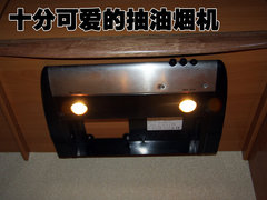 2010款 凯普斯达 ZN1040A1Z 短轴单排平板车3座