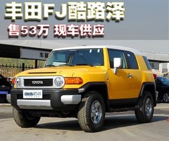 2010款 4.0L AT 