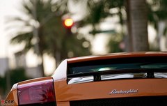 2010款 8.0T DSG 百年纪念版