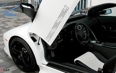 2010款 8.0T DSG 百年纪念版