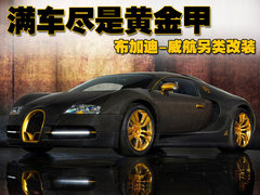 2010款 8.0T DSG 百年纪念版